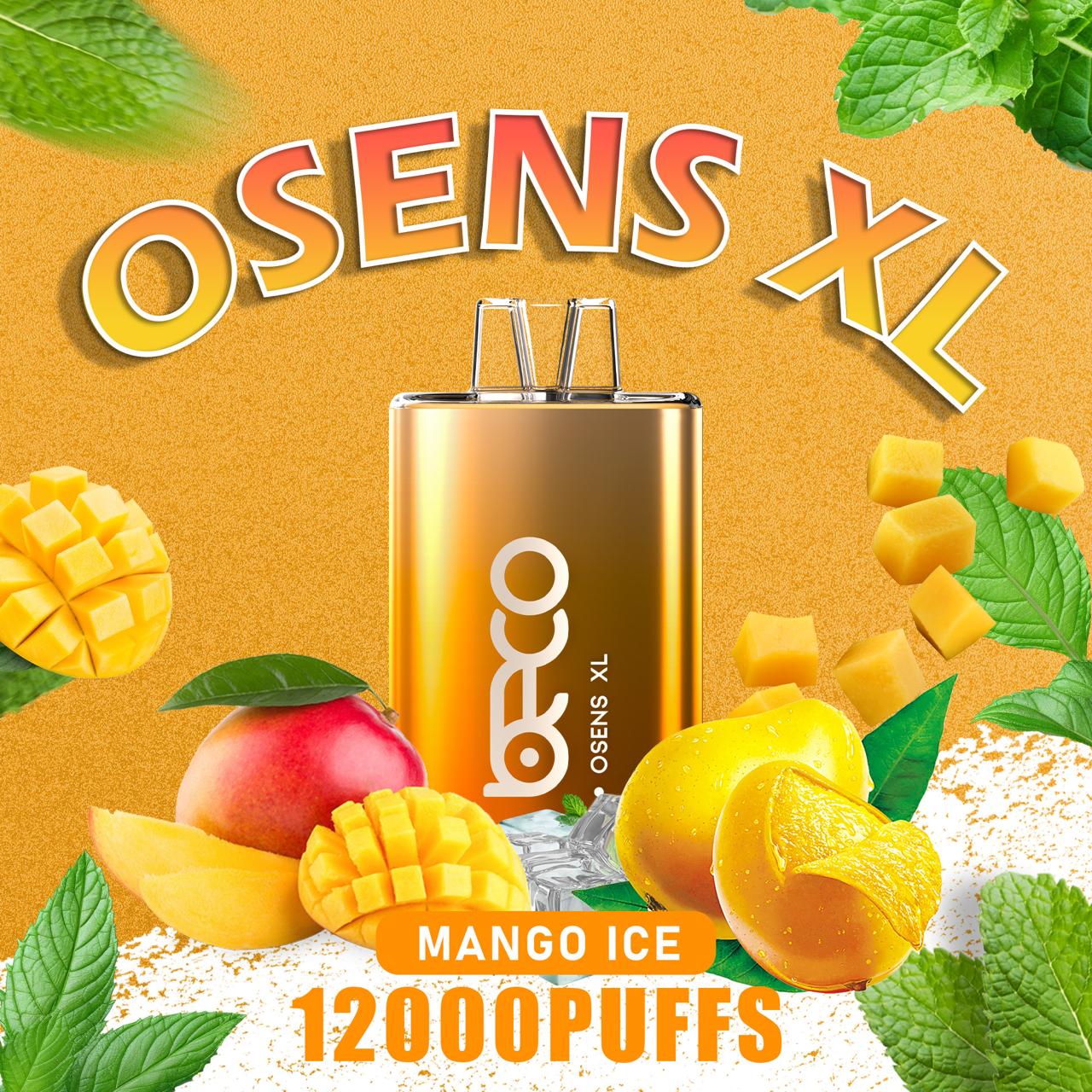 Beco Osens XL 12000 Puffs Disposable Vape in UAE